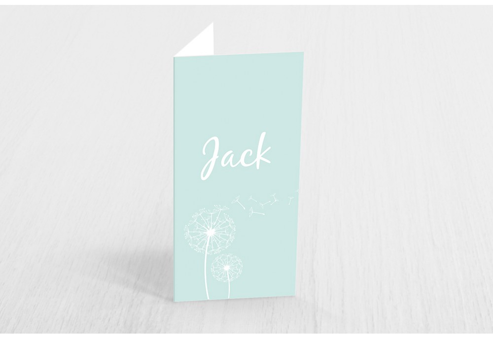 Twee blaasbloemen Twee blaasbloemen